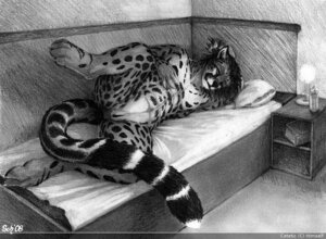 Rating: Explicit Score: 0 Tags: 2008 andromorph anthro bed book cet cheetah detailed_background e621 felid feline furniture genitals graphite_(artwork) greyscale hair hand_in_hair inside intersex lamp lol_comments lying mammal mane monochrome nude on_bed on_side photorealism pillow raised_leg realistic reclining scheriff solo tail touching_hair traditional_media_(artwork) vulva User: bunchy7s