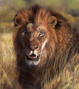 Rating: Safe Score: 0 Tags: ailah e621 felid feral lion male mammal outside pantherine photorealism realistic savanna solo traditional_media_(artwork) User: bunchy7s