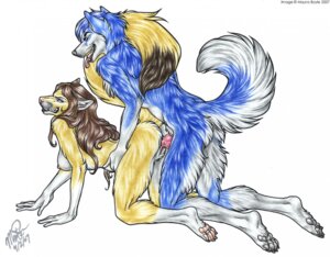 Rating: Explicit Score: 0 Tags: 2007 all_fours anthro banshee canine canine_penis couple doggy_style female fur furry knot male mayra_boyle panting penis rogue rule34 sex straight User: bunchy7s