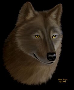 Rating: Safe Score: 0 Tags: 2003 ambiguous_gender black_background black_lips black_nose brown_body brown_fur canid canine canis disembodied_head e621 ebon_lupus feral fluffy fur headshot_portrait hi_res inner_ear_fluff lips mammal portrait simple_background solo tuft wolf yellow_eyes User: bunchy7s Rating: Safe Score: 0 Tags: 2003 ambiguous_gender black_background black_lips black_nose brown_body brown_fur canid canine canis disembodied_head e621 ebon_lupus feral fluffy fur headshot_portrait hi_res inner_ear_fluff lips mammal portrait simple_background solo tuft wolf yellow_eyes User: bunchy7s