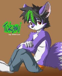 Rating: Questionable Score: 0 Tags: anthro biped black_hair bottomwear canid canine canis character_badge_(artwork) clothed clothing countershading digital_media_(artwork) domestic_dog e621 eldiman fur green_hair hair husky looking_at_viewer low_res male mammal nordic_sled_dog pants purple_body purple_fur red_eyes sitting solo spitz tail tokami topless underwear white_body white_fur young young_anthro young_male User: bunchy7s