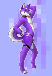 Rating: Questionable Score: 0 Tags: accessory anthro biped black_bottomwear black_clothing blue_background bottomwear bow_(feature) bow_tie bulge canid canine canis clothed clothing collar compression_artifacts countershade_face countershade_legs countershade_tail countershade_torso countershading crossdressing digital_media_(artwork) domestic_dog e621 feet femboy fingerless_(marking) fluffy fluffy_tail full-length_portrait fur garter grey_eyes hand_behind_head hand_on_hip husky inner_ear_fluff looking_at_viewer male mammal nordic_sled_dog one_eye_closed panties pawpads pink_pawpads pinup pkay portrait pose purple_body purple_fur raised_tail shirt_collar shirt_cuffs side_view simple_background solo spitz standing tail thong tiptoes toeless_(marking) tongue tongue_out topless tuft underwear unknown_artist white_body white_countershading wink User: bunchy7s