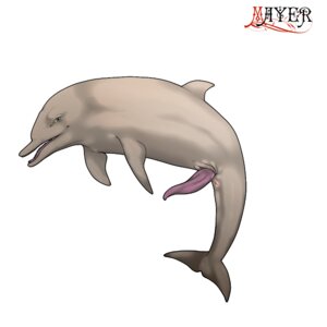 Rating: Explicit Score: 0 Tags: 1:1 2012 animal_genitalia animal_penis anus aquatic cetacean cetacean_genitalia cetacean_penis dolphin dorsal_fin e621 erection feral fin flippers genital_slit genitals green_eyes looking_at_viewer male male_feral mammal mayer0 nude oceanic_dolphin open_mouth penis simple_background solo tail tail_fin tapering_penis teeth tongue toothed_whale white_background User: bunchy7s