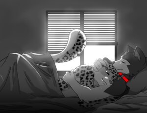 Rating: Safe Score: 0 Tags: 2009 anthro arlon3 bed bedroom canid canine canis collar cuddling detailed_background domestic_dog duo e621 eyes_closed felid fur furniture grey_body grey_fur greyscale husky inside leopard leopard_spots male mammal monochrome nordic_sled_dog on_bed pantherine romantic romantic_couple sheppy87 side_view snow_leopard spitz spot_color spots tail toony under_covers window User: bunchy7s