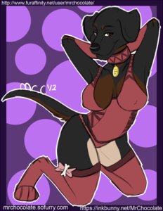 Rating: Questionable Score: 0 Tags: anthro aysu_(mr_chocolate) brown_eyes canid canine canis clothing collar domestic_dog e621 female lingerie looking_at_viewer mammal mrchocolate solo tail text url User: bunchy7s