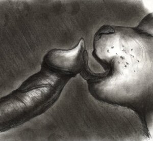 Rating: Explicit Score: 0 Tags: 2010 ambiguous_gender canid canine canis charcoal_(artwork) close-up disembodied_penis domestic_cat domestic_dog duo e621 erection eyes_closed felid feline felis fellatio genitals greyscale kodayu licking male mammal monochrome mouth_shot open_mouth oral penile penis penis_lick sex shaded simple_background tongue tongue_out traditional_media_(artwork) unusual_anatomy unusual_genitalia unusual_penis User: bunchy7s Rating: Explicit Score: 0 Tags: 2010 ambiguous_gender canid canine canis charcoal_(artwork) close-up disembodied_penis domestic_cat domestic_dog duo e621 erection eyes_closed felid feline felis fellatio genitals greyscale kodayu licking male mammal monochrome mouth_shot open_mouth oral penile penis penis_lick sex shaded simple_background tongue tongue_out traditional_media_(artwork) unusual_anatomy unusual_genitalia unusual_penis User: bunchy7s