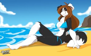 Rating: Safe Score: 0 Tags: 2014 abs anthro beach bikini biped border_collie breasts brown_eyes brown_hair canid canine canis clothing cloud collie dedoarts detailed_background domestic_dog e621 female hair herding_dog looking_at_viewer mammal outside pastoral_dog pose reclining relaxing sand sea seaside sheepdog sitting sky smile solo swimwear text two-piece_swimsuit water User: bunchy7s