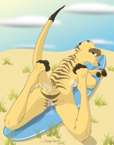 Rating: Explicit Score: 0 Tags: 2012 anus beach cloud detailed_background e621 female genitals herpestid looking_back lying mammal meerkat nude on_front outside raised_tail sand seaside sherwood sky solo surfboard tail vehicle vulva watercraft User: bunchy7s Rating: Explicit Score: 0 Tags: 2012 anus beach cloud detailed_background e621 female genitals herpestid looking_back lying mammal meerkat nude on_front outside raised_tail sand seaside sherwood sky solo surfboard tail vehicle vulva watercraft User: bunchy7s
