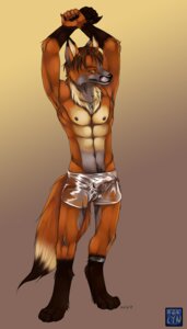 Rating: Explicit Score: 0 Tags: 2008 anklet anthro azelyn blaze_(marking) bottomwear boxers_(clothing) bulge canid canine clothed clothing countershade_face countershade_legs countershade_torso countershading digital_media_(artwork) digitigrade dipstick_tail dog_tags e621 facial_markings fox front_view full-length_portrait gloves_(marking) head_markings jewelry leg_markings male mammal markings multicolored_tail outline portrait socks_(marking) solo stretching tail tail_markings tan_body tan_countershading topless translucent translucent_bottomwear translucent_clothing underwear white_bottomwear white_clothing User: bunchy7s