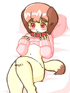 Rating: Questionable Score: 0 Tags: 3:4 5_fingers aliasing anthro biped blush bottomless brown_body brown_fur canid canine canis cel_shading clothed clothing clothing_lift collar digital_media_(artwork) dipstick_tail domestic_dog e621 female fingers fur hair high-angle_view kemono kin-shun long_ears low_res lying mai_(kin-shun) mammal markings multicolored_tail on_back open_mouth pillow pink_hair red_eyes shaded simple_background solo sweater tail tail_markings topwear white_background white_body white_fur User: bunchy7s