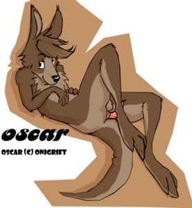 Rating: Explicit Score: 0 Tags: animal_genitalia animal_penis balls balls_above_penis e621 erection genitals kangaroo lying macropod male mammal marsupial marsupial_penis nude on_back onigrift penis simple_background solo tail tapering_penis white_background User: bunchy7s