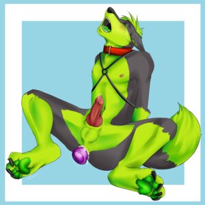 Rating: Explicit Score: 0 Tags: 1:1 anthro bdsm blue_border bondage border bound canid canine canis countershading dipstick_tail domestic_dog e621 erection genitals green_body green_countershading green_hair green_markings hair hi_res male mammal markings mustachemutt nude penis solo submissive submissive_male tail tail_markings User: bunchy7s