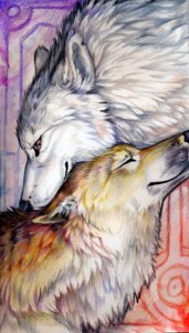 Rating: Safe Score: 0 Tags: 4:7 ambiguous_gender canid canine canis duo e621 eyes_closed feral fur love mammal pearleden romantic romantic_couple smile white_body white_fur wolf User: bunchy7s Rating: Safe Score: 0 Tags: 4:7 ambiguous_gender canid canine canis duo e621 eyes_closed feral fur love mammal pearleden romantic romantic_couple smile white_body white_fur wolf User: bunchy7s