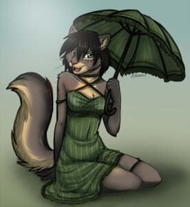 Rating: Safe Score: 0 Tags: 2010 ajna anthro black_hair clothing domestic_cat dress e621 felid feline felis female green_clothing green_dress green_eyes hair looking_at_viewer mammal parasol solo tail zula User: bunchy7s