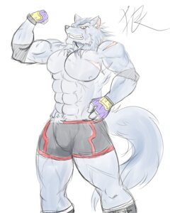 Rating: Questionable Score: 0 Tags: 4:5 abs anthro bandage biceps biped black_nose blue_body blue_fur blue_hair bottomwear canid canine canis clothed clothing e621 fangs flexing footwear fur gloves grey_body grey_fur grin hair handwear looking_at_viewer male mammal muscular muscular_anthro muscular_male nipples pecs pose red_eyes scar shorts simatukasa_(pixiv) sketch smile solo standing tail teeth topless wolf User: bunchy7s