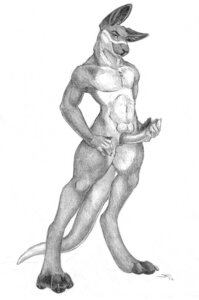 Rating: Explicit Score: 0 Tags: 2013 anatomically_correct anatomically_correct_genitalia anatomically_correct_penis animal_genitalia animal_penis anthro balls balls_above_penis e621 erection genitals kangaroo macropod male mammal marsupial marsupial_penis monochrome nude penis sabretoothed_ermine silver_k_roo sketch solo tail tapering_penis User: bunchy7s