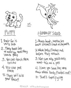 Rating: Safe Score: 0 Tags: 2009 ambiguous_gender aquatic beak black_and_white canid canine canis cephalopod coleoid comic comparison copyright_symbol dated decapodiform domestic_dog drewmo duo e621 english_text feral humboldt_squid information_list left-handed_toons list list_header mammal mantle_(mollusk) mollusk monochrome number numbered_list open_beak open_mouth simple_background species_name squid symbol tail text toony underline white_background year young young_feral User: bunchy7s