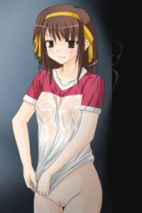 Rating: Explicit Score: 0 Tags: akatuki_(yamina) bottomless breasts brown_hair clothing erect_nipples erect_nipples_under_clothes female female_only human nipples pointy_chin pussy rule34 see-through see-through_clothing short_hair silhouette small_breasts solo suzumiya_haruhi suzumiya_haruhi_no_yuuutsu tri-k_soft wet User: bunchy7s