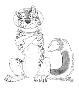 Rating: Safe Score: 0 Tags: 2011 annoyed canid canine canis cheek_tuft claws conditional_dnp cone_of_shame crossed_arms digitigrade e621 facial_tuft felid female feral full-length_portrait fur graphite_(artwork) greyscale hybrid inner_ear_fluff looking_at_viewer mammal markings medical_instrument monochrome pantherine portrait quadruped scientific_instrument signature simple_background sitting snow_leopard solo spots spotted_body spotted_fur tail tani_da_real tanidareal_(character) toe_claws traditional_media_(artwork) tuft white_background wolf User: bunchy7s Rating: Safe Score: 0 Tags: 2011 annoyed canid canine canis cheek_tuft claws conditional_dnp cone_of_shame crossed_arms digitigrade e621 facial_tuft felid female feral full-length_portrait fur graphite_(artwork) greyscale hybrid inner_ear_fluff looking_at_viewer mammal markings medical_instrument monochrome pantherine portrait quadruped scientific_instrument signature simple_background sitting snow_leopard solo spots spotted_body spotted_fur tail tani_da_real tanidareal_(character) toe_claws traditional_media_(artwork) tuft white_background wolf User: bunchy7s