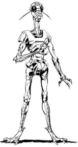Rating: Safe Score: 0 Tags: 3_fingers 3_toes ambiguous_gender antennae_(anatomy) armor arthropod biped black_and_white digitigrade e621 feet fingers front_view full-length_portrait insect line_art looking_at_viewer model_sheet monochrome not_furry portrait shaded shadow simple_shading solo standing star_wars toes unknown_artist verpine User: bunchy7s