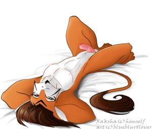 Rating: Explicit Score: 0 Tags: anthro biped brown_hair e621 erection feet felid fur genitals hair hands_behind_head humanoid_genitalia humanoid_penis ling looking_at_viewer lying male mammal nipples nude on_back orange_body orange_fur penis peritian simple_background solo tail tail_tuft tuft white_background white_body white_fur User: bunchy7s Rating: Explicit Score: 0 Tags: anthro biped brown_hair e621 erection feet felid fur genitals hair hands_behind_head humanoid_genitalia humanoid_penis ling looking_at_viewer lying male mammal nipples nude on_back orange_body orange_fur penis peritian simple_background solo tail tail_tuft tuft white_background white_body white_fur User: bunchy7s