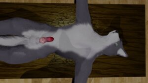 Rating: Explicit Score: 0 Tags: 16:9 3d_(artwork) balls bdsm bondage bound canid canine canis digital_media_(artwork) domestic_dog e621 erection genitals husky leion male mammal nordic_sled_dog nude penis solo spitz submissive submissive_male tail widescreen User: bunchy7s