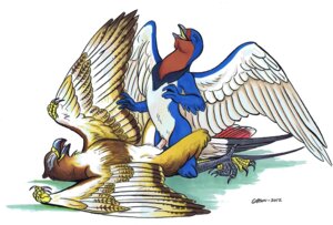 Rating: Explicit Score: 0 Tags: 2012 accipitrid accipitriform anthro anthro_on_feral avian beak bestiality bird blue_body blue_feathers brown_body brown_feathers buteo chickenhawk claws cloacal_penis duo e621 erection eyes_closed feathered_wings feathers female female_penetrated feral genitals happy happy_sex hirundinid interspecies kneeling lying male male/female male_on_feral male_penetrating male_penetrating_female nude on_back open_mouth oscine passerine penetration penile penile_penetration penis penis_in_vagina red-tailed_hawk roz_gibson sex simple_background spread_legs spread_wings spreading swallow_(bird) vaginal vaginal_penetration white_background white_body white_feathers wings User: bunchy7s
