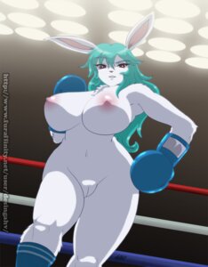 Rating: Explicit Score: 0 Tags: 2013 anthro big_breasts boxing boxing_gloves breasts clothing desingahv e621 female fighting_ring genitals gloves handwear lagomorph legwear leporid looking_at_viewer looking_down low-angle_view mammal navel nipples nude rabbit red_eyes smile solo sport stockings vulva white_vulva User: bunchy7s