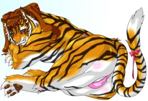 Rating: Questionable Score: 0 Tags: blush brown_hair brown_pawpads camel_toe claws clothed clothed_feral clothing countershading e621 felid female feral fur hair kemosuke long_hair mammal orange_eyes pantherine panties pawpads paws ribbons simple_background solo striped_body striped_fur stripes tail tiger underwear white_background User: bunchy7s
