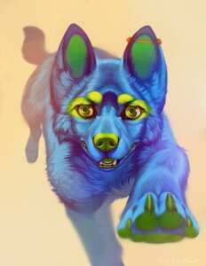 Rating: Safe Score: 0 Tags: 4_toes ambiguous_gender blue_body blue_fur canid canine canis claws domestic_dog e621 ear_piercing feet feral fur geekidog_(character) green_eyes green_nose hi_res industrial_piercing katanimate looking_at_viewer mammal pawpads paws piercing simple_background solo sparklefur tan_background toes User: bunchy7s