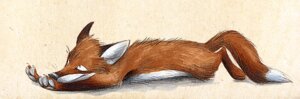 Rating: Safe Score: 0 Tags: 2010 canid canine e621 feral fox male mammal pawpads paws skia solo stretching tail User: bunchy7s