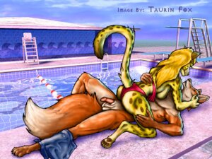 Rating: Explicit Score: 0 Tags: 1999 4:3 anthro balls breasts canid canine dipstick_tail domestic_cat duo e621 felid feline felis female fox fur genitals half-erect leopard male mammal markings orange_body orange_fur pantherine penis side_boob spots swimming_pool tail tail_markings taurin_fox water yellow_body yellow_fur User: bunchy7s Rating: Explicit Score: 0 Tags: 1999 4:3 anthro balls breasts canid canine dipstick_tail domestic_cat duo e621 felid feline felis female fox fur genitals half-erect leopard male mammal markings orange_body orange_fur pantherine penis side_boob spots swimming_pool tail tail_markings taurin_fox water yellow_body yellow_fur User: bunchy7s