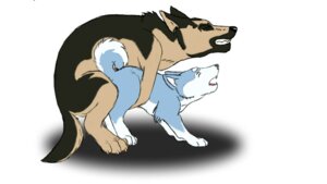 Rating: Explicit Score: 0 Tags: akita anal anal_sex bishoop canine feral feral_on_feral german_shepherd gin_(ginga) ginga_(series) john_(ginga) male male/male male_only rule34 User: bunchy7s