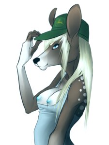 Rating: Questionable Score: 0 Tags: 3:4 anthro arianne blue_eyes breasts clothing deer e621 female hat headgear headwear hi_res mammal nipples simple_background sindarin78 solo white_background User: bunchy7s
