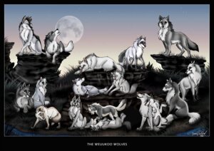 Rating: Explicit Score: 0 Tags: 2006 ambiguous_gender anatomically_correct anatomically_correct_genitalia animal_genitalia attached_sheath canid canine canis conditional_dnp e621 feral fully_sheathed genitals group hair howl looking_at_viewer mammal moon night nude outside sheath tani_da_real white_sheath wolf User: bunchy7s Rating: Explicit Score: 0 Tags: 2006 ambiguous_gender anatomically_correct anatomically_correct_genitalia animal_genitalia attached_sheath canid canine canis conditional_dnp e621 feral fully_sheathed genitals group hair howl looking_at_viewer mammal moon night nude outside sheath tani_da_real white_sheath wolf User: bunchy7s