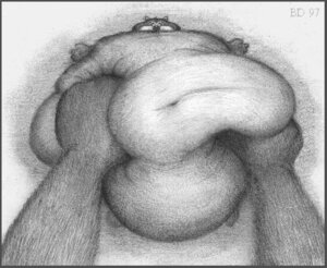 Rating: Questionable Score: 0 Tags: 1997 ambiguous_gender anthro bd belly belly_rub big_belly canid canine canis detailed disembodied_hand domestic_dog duo e621 greyscale love_handles low_res mammal monochrome morbidly_obese navel obese overweight simple_background solo_focus toony User: bunchy7s