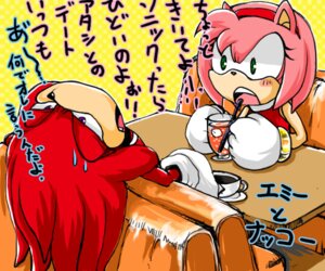 Rating: Safe Score: 0 Tags: 6:5 amy_rose anthro beverage bored clothing dress duo e621 echidna eulipotyphlan female fur hedgehog japanese_text knuckles_the_echidna male mammal monotreme pink_body pink_fur red_body red_clothing red_dress sega sonic_the_hedgehog_(series) text translated urahyu User: bunchy7s