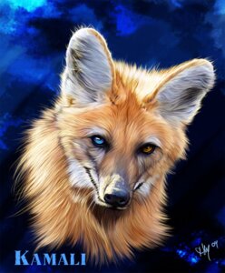 Rating: Safe Score: 0 Tags: 2009 abstract_background blue_eyes brown_body brown_eyes brown_fur bust_portrait canid canine e621 female feral fur heterochromia looking_at_viewer mammal maned_wolf novawuff portrait red_body red_fur smile solo white_body white_fur User: bunchy7s Rating: Safe Score: 0 Tags: 2009 abstract_background blue_eyes brown_body brown_eyes brown_fur bust_portrait canid canine e621 female feral fur heterochromia looking_at_viewer mammal maned_wolf novawuff portrait red_body red_fur smile solo white_body white_fur User: bunchy7s