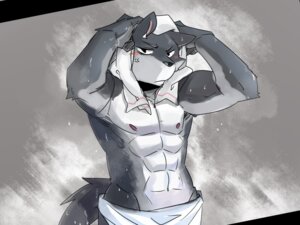 Rating: Questionable Score: 0 Tags: 2013 4:3 abs anthro biceps biped black_nose blush canid canine canis clothed clothing drying e621 frown fur grey_body grey_fur guang_yang looking_at_viewer luwei_(artist) male mammal muscular muscular_anthro muscular_male nipples pecs pose solo standing topless towel towel_around_neck towel_only water wet white_body white_fur wolf User: bunchy7s