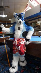 Rating: Safe Score: 0 Tags: 9:16 anthro billiard_table billiards bottomwear canid canine canis clothing costume cue_stick e621 furniture fursuit grandfathered_content inside littlebluewolfleo looking_at_viewer male mammal real shorts solo star table unknown_artist wolf User: bunchy7s