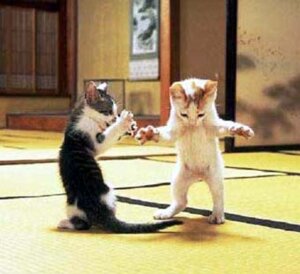 Rating: Safe Score: 0 Tags: ambiguous_gender dojo domestic_cat duo e621 felid feline felis feral grandfathered_content humor low_res mammal photo_manipulation real tabby_cat tail unknown_artist young young_feral User: bunchy7s Rating: Safe Score: 0 Tags: ambiguous_gender dojo domestic_cat duo e621 felid feline felis feral grandfathered_content humor low_res mammal photo_manipulation real tabby_cat tail unknown_artist young young_feral User: bunchy7s