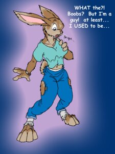 Rating: Safe Score: 0 Tags: 3:4 anthro bottomwear breasts catmonkshiro clothing e621 female footwear lagomorph legwear leporid mammal pants paws rabbit shirt socks solo teeth topwear transformation User: bunchy7s