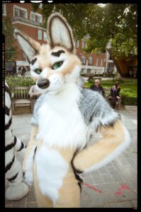 Rating: Safe Score: 0 Tags: 2010 anthro big_ears cafe canid canine canis clothing costume dingo domestic_dog e621 felid fursuit gallenw grandfathered_content green_eyes group human hybrid jackal looking_at_viewer male mammal pantherine real scribblefox solo_focus tiger User: bunchy7s