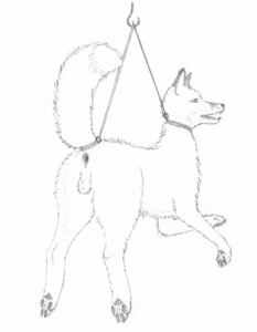 Rating: Explicit Score: 0 Tags: abracon anal anthro asphyxiation bdsm bondage bound canid canine choking e621 electrocution fox fur hanged killing male mammal paws simple_background snuff solo strangling submissive submissive_male tail white_background User: bunchy7s Rating: Explicit Score: 0 Tags: abracon anal anthro asphyxiation bdsm bondage bound canid canine choking e621 electrocution fox fur hanged killing male mammal paws simple_background snuff solo strangling submissive submissive_male tail white_background User: bunchy7s