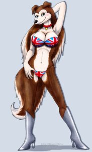 Rating: Questionable Score: 0 Tags: anthro bikini biped blue_eyes breasts canid canine canis clothed clothing collar colleen_(road_rovers) domestic_dog e621 female flag flag_bikini flag_clothing flag_print flag_swimwear looking_at_viewer mammal navel print_bikini print_clothing print_swimwear road_rovers skimpy solo standing swimwear tail two-piece_swimsuit union_jack union_jack_bikini vani-fox User: bunchy7s