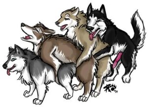 Rating: Explicit Score: 0 Tags: 2011 all_fours canid canine canis doggystyle domestic_dog e621 erection eyes_closed feral feral_on_feral foursome from_behind_position genitals group group_sex husky low_res male male/male mammal nordic_sled_dog penis quadruped sex simple_background sketchkat spitz tail toony train_position white_background User: bunchy7s Rating: Explicit Score: 0 Tags: 2011 all_fours canid canine canis doggystyle domestic_dog e621 erection eyes_closed feral feral_on_feral foursome from_behind_position genitals group group_sex husky low_res male male/male mammal nordic_sled_dog penis quadruped sex simple_background sketchkat spitz tail toony train_position white_background User: bunchy7s
