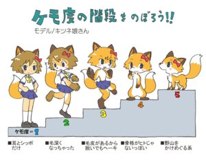 Rating: Safe Score: 0 Tags: 2010 501kabi animal_humanoid anthro biped blue_eyes blush bottomwear bow_ribbon brown_hair brown_nose canid canid_humanoid canine canine_humanoid chart chest_tuft clothed clothing comparison countershading dipstick_tail e621 female female_anthro feral footwear fox fox_humanoid fox_tail fur furry_scale gloves_(marking) hair humanoid japanese_text kemono leg_markings legwear looking_at_viewer mammal mammal_humanoid markings meme_origin model_sheet nude one_shoe_on open_mouth options orange_body orange_fur quadruped ribbons school_uniform semi-anthro shoes short_hair size_difference skirt smile socks socks_(marking) solo standing tagging_guidelines_illustrated tail tail_markings text transformation translated tuft uniform wide_crotch young young_anthro User: bunchy7s