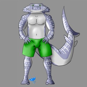Rating: Questionable Score: 0 Tags: 1:1 2012 anthro aquatic azrael_rhincodon biped bottomwear bulge carpet_shark clothed clothing e621 fin fish green_eyes hand_on_hip hi_res kesali looking_at_viewer male muscular muscular_anthro muscular_male navel nipples shark shorts simple_background slightly_chubby smile solo spots standing tail topless whale_shark User: bunchy7s