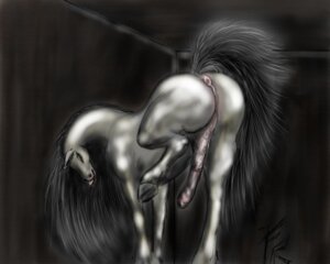 Rating: Explicit Score: 0 Tags: 5:4 animal_genitalia animal_penis anus butt e621 equid equine equine_genitalia equine_penis erection eunuch feral fugueraven genitals hiked_leg hooves horse male mammal penis raised_leg raised_tail solo tail tail_anus tongue User: bunchy7s