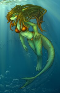 Rating: Safe Score: 0 Tags: anthro aquatic bikini clothed clothing conditional_dnp e621 feet female fish hair hi_res jameless membrane_(anatomy) shark skimpy solo swimwear tail tight_clothing toes two-piece_swimsuit underwater water webbed_feet webbed_hands User: bunchy7s
